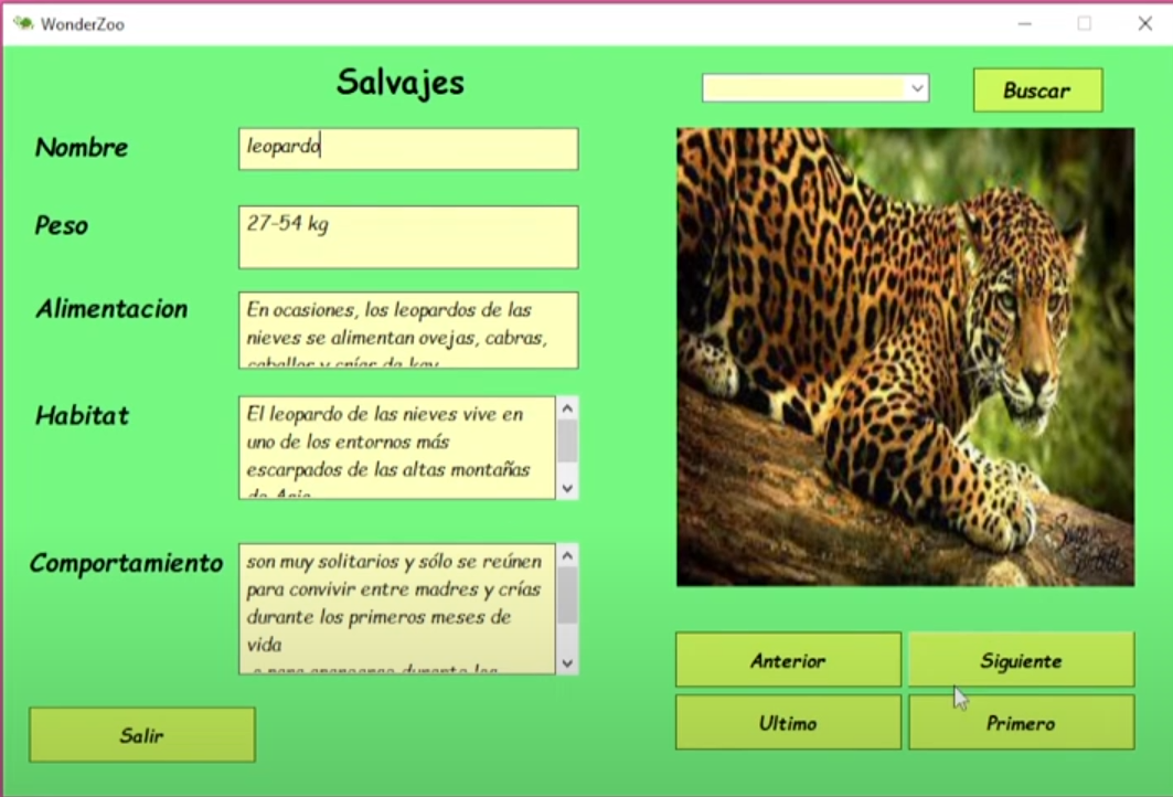 Slide 4